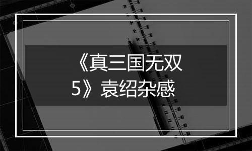 《真三国无双5》袁绍杂感