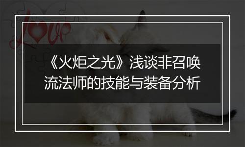 《火炬之光》浅谈非召唤流法师的技能与装备分析