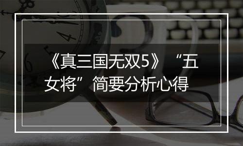 《真三国无双5》“五女将”简要分析心得