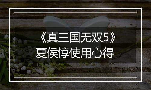 《真三国无双5》夏侯惇使用心得