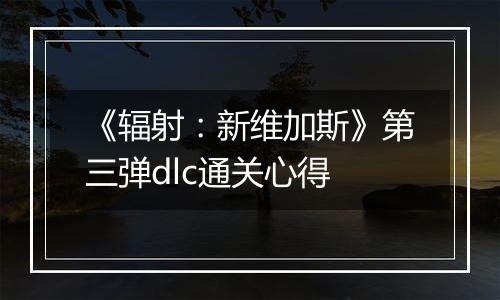 《辐射：新维加斯》第三弹dlc通关心得