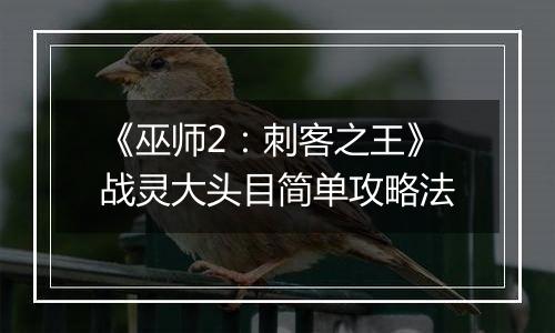 《巫师2：刺客之王》战灵大头目简单攻略法