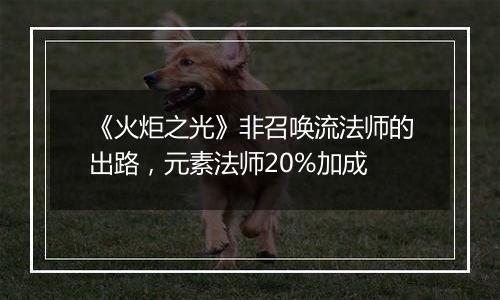 《火炬之光》非召唤流法师的出路，元素法师20%加成
