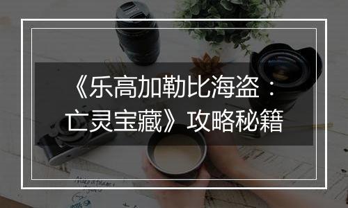 《乐高加勒比海盗：亡灵宝藏》攻略秘籍