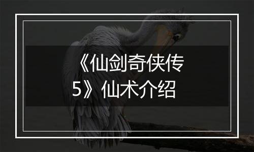《仙剑奇侠传5》仙术介绍