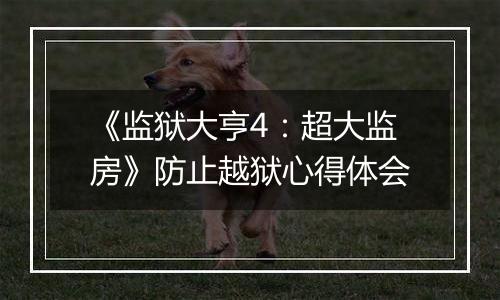 《监狱大亨4：超大监房》防止越狱心得体会