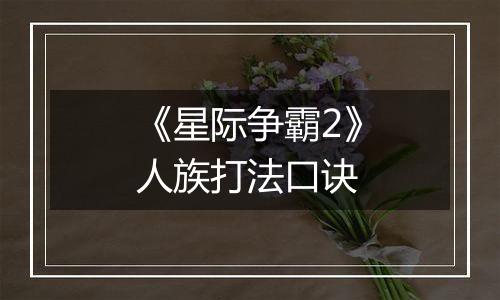 《星际争霸2》人族打法口诀