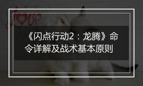 《闪点行动2：龙腾》命令详解及战术基本原则