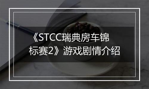 《STCC瑞典房车锦标赛2》游戏剧情介绍