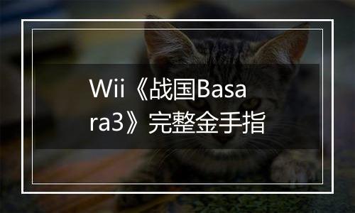 Wii《战国Basara3》完整金手指