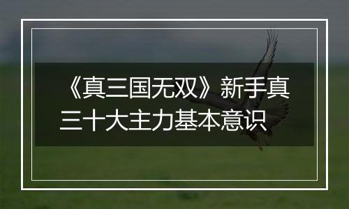 《真三国无双》新手真三十大主力基本意识
