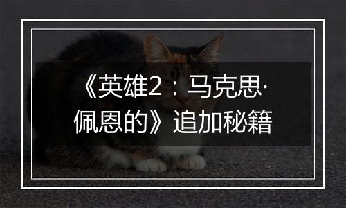 《英雄2：马克思·佩恩的》追加秘籍