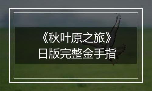 《秋叶原之旅》日版完整金手指