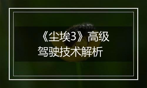 《尘埃3》高级驾驶技术解析