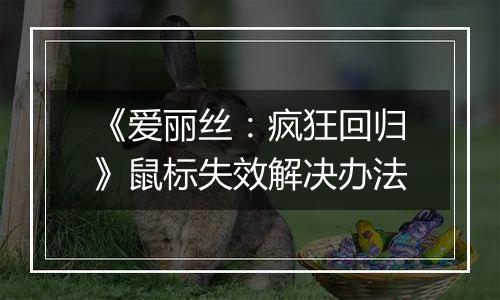 《爱丽丝：疯狂回归》鼠标失效解决办法