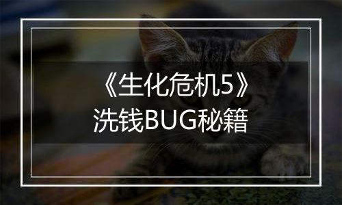 《生化危机5》洗钱BUG秘籍