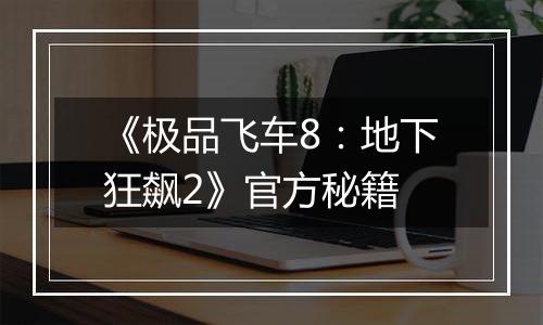 《极品飞车8：地下狂飙2》官方秘籍