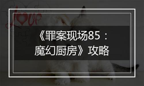 《罪案现场85：魔幻厨房》攻略
