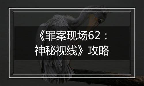 《罪案现场62：神秘视线》攻略