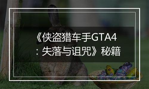 《侠盗猎车手GTA4：失落与诅咒》秘籍