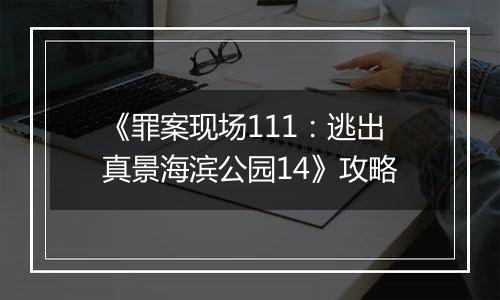 《罪案现场111：逃出真景海滨公园14》攻略