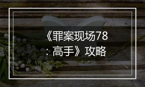 《罪案现场78：高手》攻略