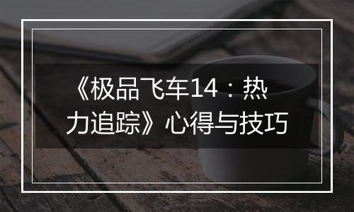 《极品飞车14：热力追踪》心得与技巧