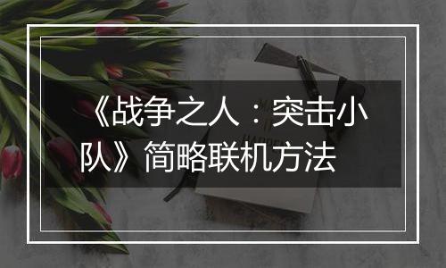 《战争之人：突击小队》简略联机方法