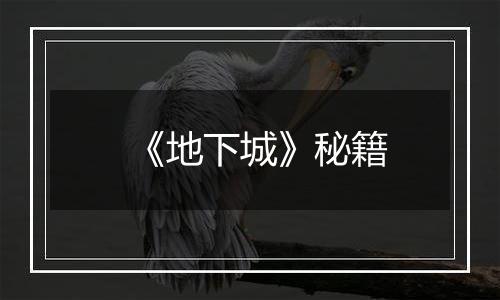 《地下城》秘籍