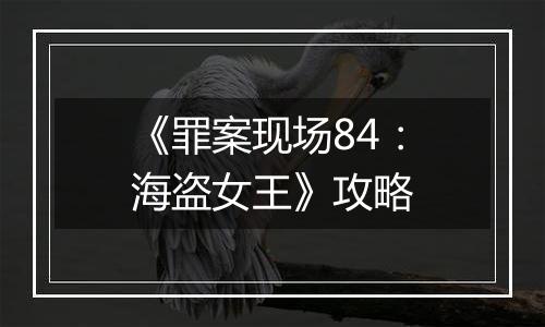 《罪案现场84：海盗女王》攻略