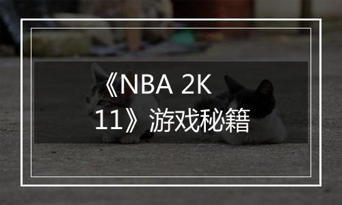 《NBA 2K11》游戏秘籍