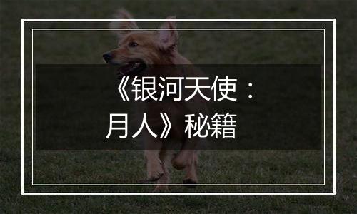 《银河天使：月人》秘籍