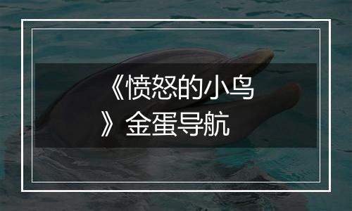 《愤怒的小鸟》金蛋导航