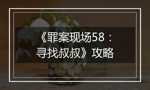 《罪案现场58：寻找叔叔》攻略