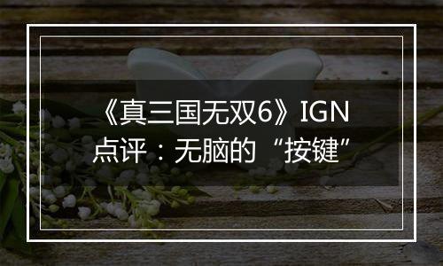 《真三国无双6》IGN点评：无脑的“按键”