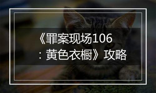 《罪案现场106：黄色衣橱》攻略