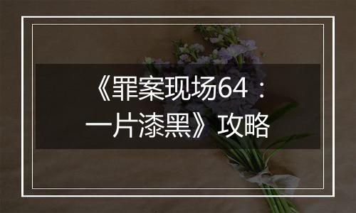 《罪案现场64：一片漆黑》攻略