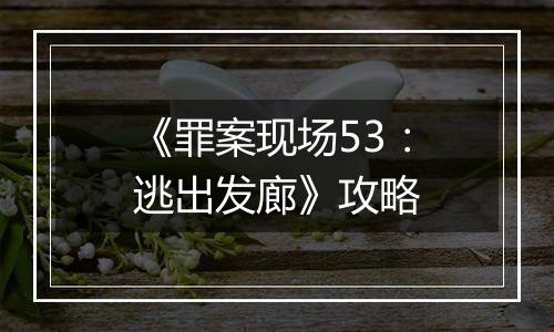 《罪案现场53：逃出发廊》攻略