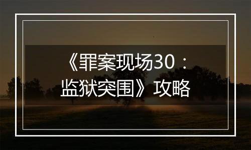 《罪案现场30：监狱突围》攻略