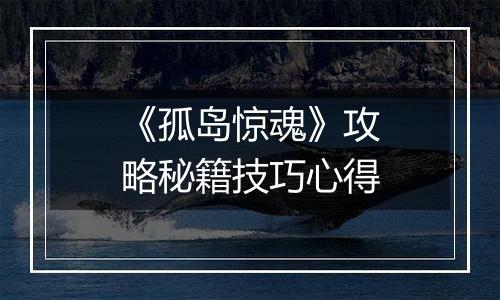 《孤岛惊魂》攻略秘籍技巧心得