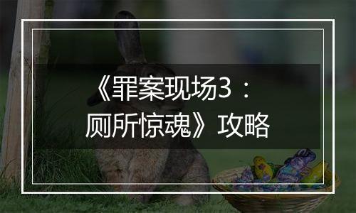 《罪案现场3：厕所惊魂》攻略