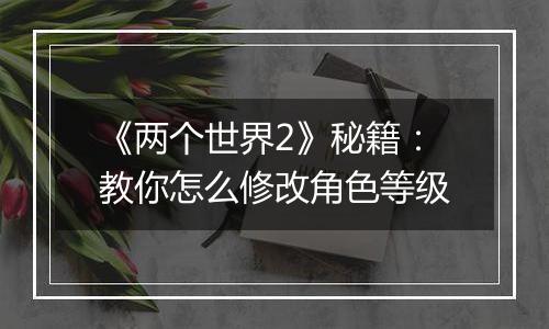 《两个世界2》秘籍：教你怎么修改角色等级