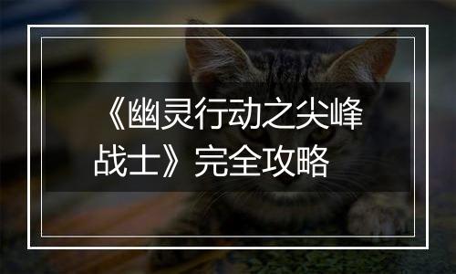 《幽灵行动之尖峰战士》完全攻略