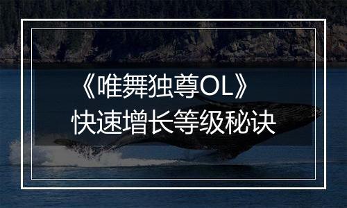 《唯舞独尊OL》快速增长等级秘诀