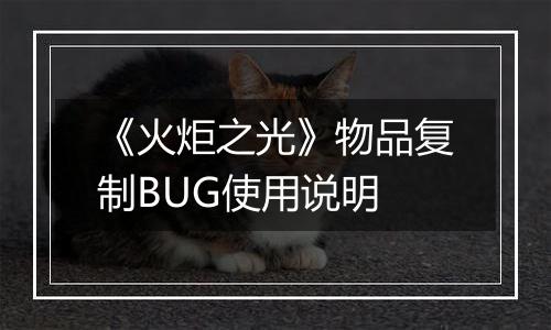 《火炬之光》物品复制BUG使用说明