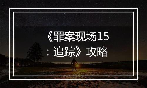 《罪案现场15：追踪》攻略