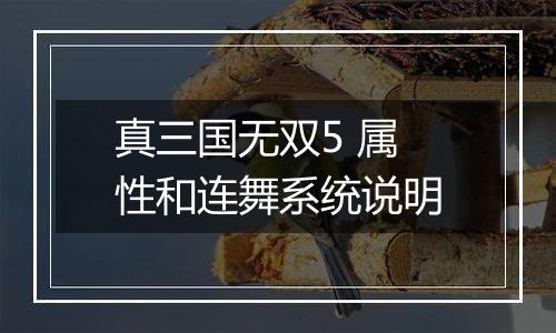 真三国无双5 属性和连舞系统说明