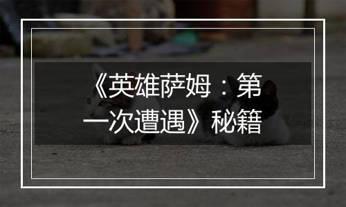 《英雄萨姆：第一次遭遇》秘籍