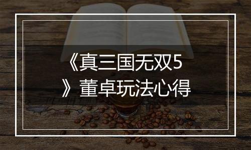 《真三国无双5》董卓玩法心得