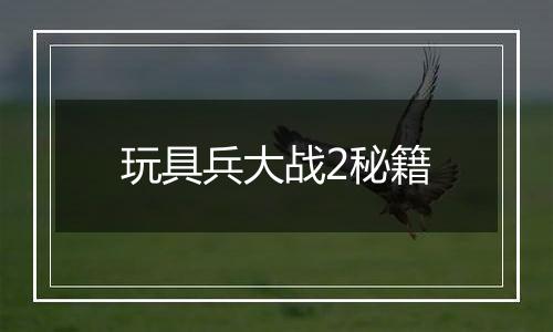 玩具兵大战2秘籍